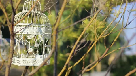 Fitting double Video stock 32108831