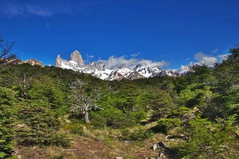 Fitz Roy mount, El Chalten, Patagonia, Argentina Stock Photos