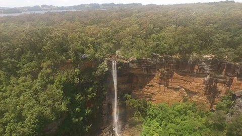 Fitzroy falls Stock Footage 100597623