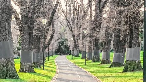 Fitzroy Gardens Stock Photos