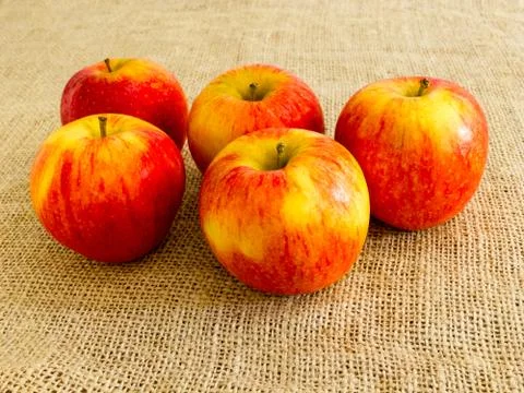 Five apples against a canvas Stock Photos