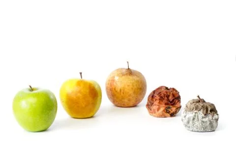 Five apples in different stages of decay Stock Photos