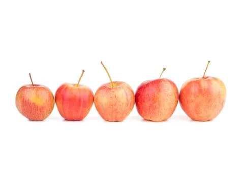 Five apples lined up on a white background Stock Photos