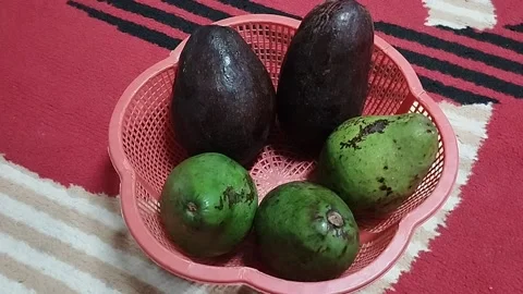 Five avocados placed in a plastic container typical of the region Stock Footage 224440720