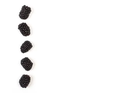 Five balckberries in column on a white background with copy space 스톡 사진