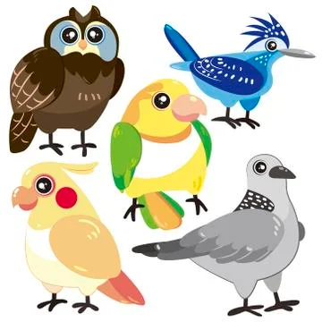 Five birds on white background 스톡 일러스트