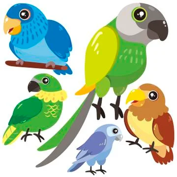 Five birds on white background Stock Illustration