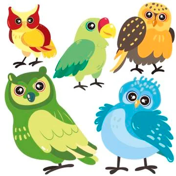 Five birds on white background 스톡 일러스트