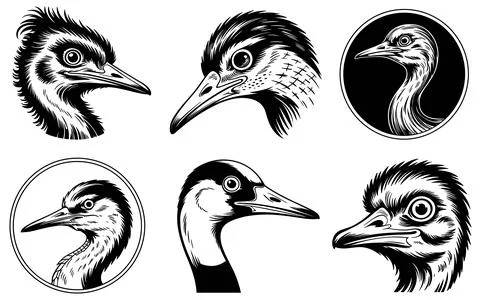 Five black and white bird heads with detailed feather patterns Stock Illustration
