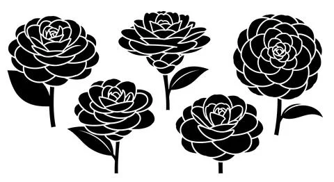Five black roses with leaves on white background Stock Illustration