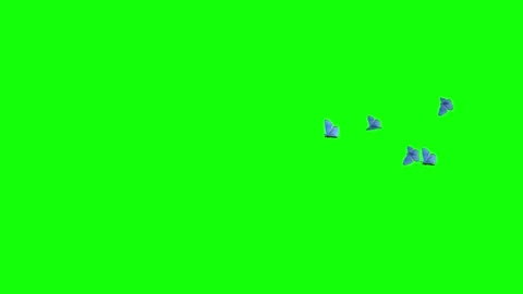 Five Blue Adonis Butterflies - Flying Transition - Green Screen Stock Footage 252694182
