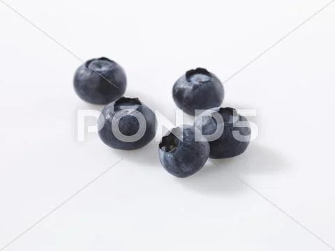 Five blueberries Stock Photos