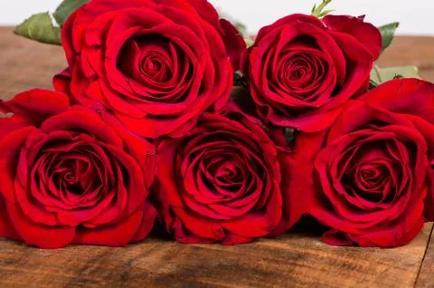 Five bright red roses on a table Foto stock