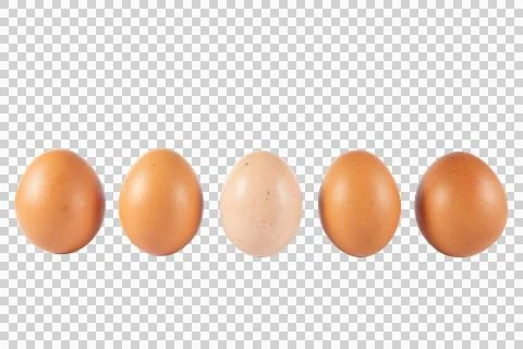 Five Brown and Light Brown Chicken Eggs Isolated on Black Background Stock Photos