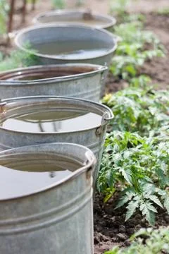 Five buckets with water Stock-Fotos