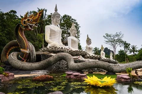 Five buddhas Stock Photos