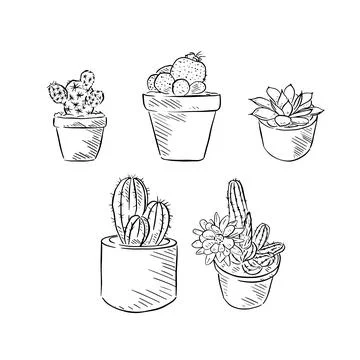 Five cactus illustrations Illustrazione stock