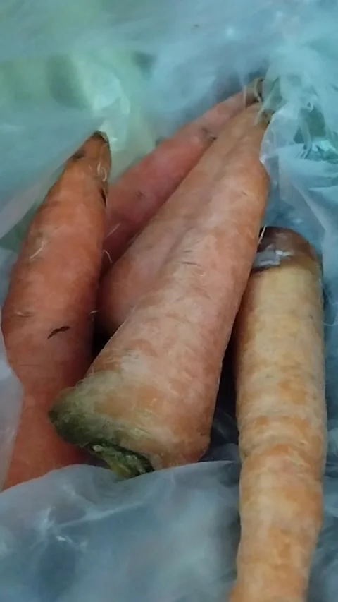 Five carrots are in white plastic Stock Footage 229554300