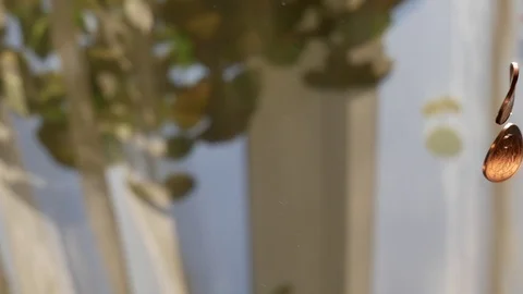 Five cent Stock Footage 116878928