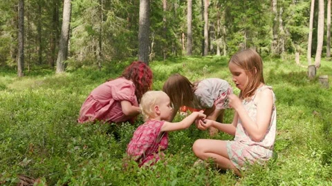 Five children picking wild berries together in a green forest in slow motion Stock-Footage 317751970