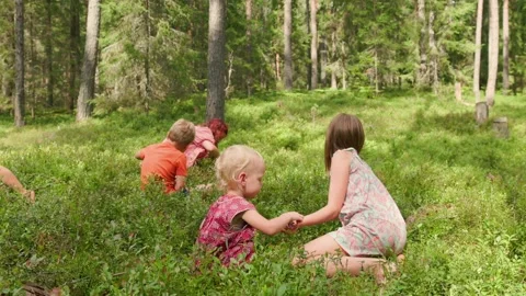 Five children picking wild berries together in a green forest in slow motion Stock Footage 317751985