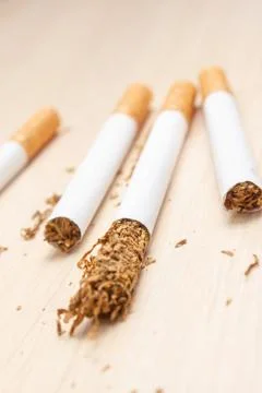 Five cigarettes and one got out on half tobacco on a light wooden Stock Photos