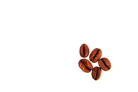 Five coffee beans view from top 写真素材