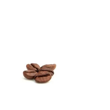 Five coffee beans on a white background view from the side 写真素材