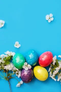 Five colorful easter eggs and flowers on blue background. Stock Photos