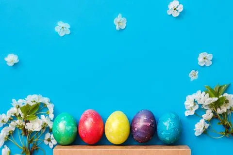 Five colorful easter eggs and flowers on blue background. Stock-Fotos