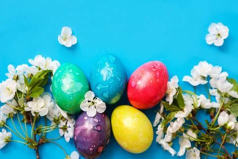 Five colorful easter eggs and flowers on blue background. Stock Photos