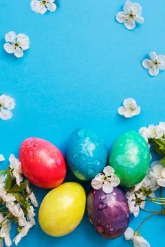 Five colorful easter eggs and flowers on blue background. Stock-Fotos