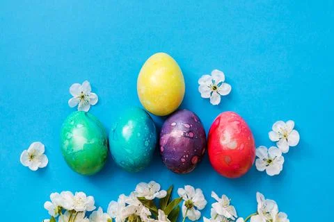 Five colorful easter eggs and flowers on blue background. Stock Photos