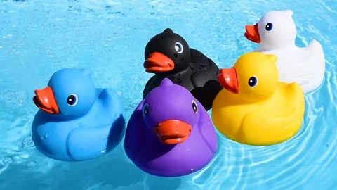 Five colourful rubber ducks floating relaxed and casually on the sparkling an Stock Footage 93642459