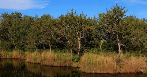 Five connective Lakes Video stock 211277184