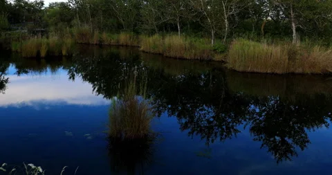 Five connective Lakes Video stock 211278229