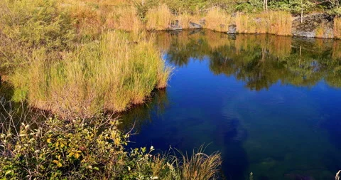 Five connective Lakes 스톡 동영상 211279311