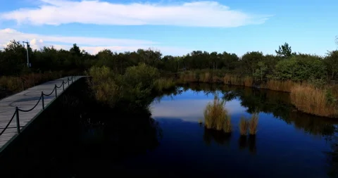 Five connective Lakes 库存影片 211280129