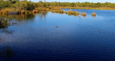 Five connective Lakes Video stock 211286342