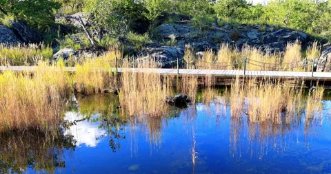 Five connective Lakes 库存影片 211295068