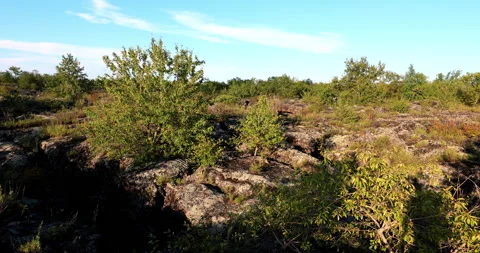 Five connective Lakes Stockbeeldmateriaal 211296878