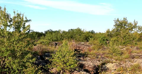 Five connective Lakes Video stock 211297764