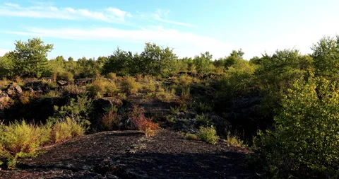 Five connective Lakes Vídeos de archivo 211299739