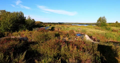 Five connective Lakes Stock-Footage 211302242