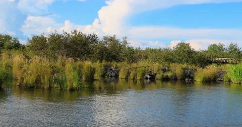 Five connective Lakes Stock Footage 211304334