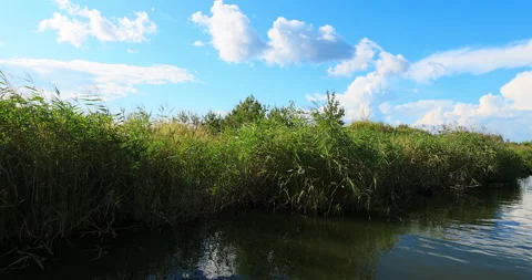 Five connective Lakes Stock Footage 211310701