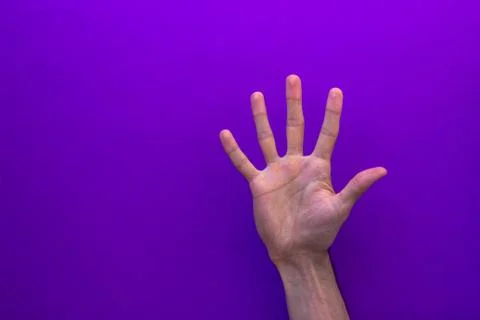 Five counting right hands isolated on purple background Stock Photos