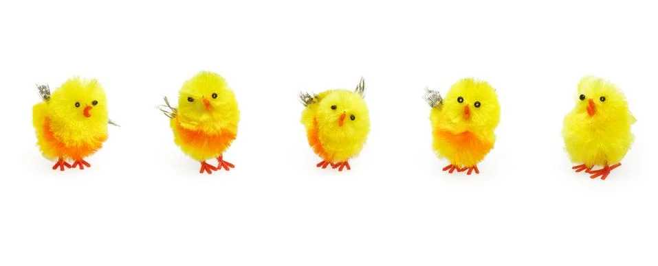 Five cute easter yellow chicks for seasonal decoration. Stock Illustration