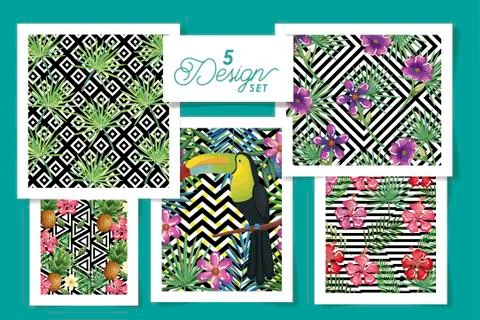 Five designs tropicals in patterns monochromatic geometric Illustrazione stock