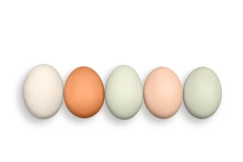 Five different colors chicken eggs on the white background. Stock Photos